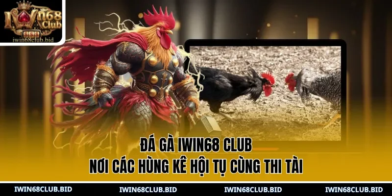 Đá gà IWIN68 Club