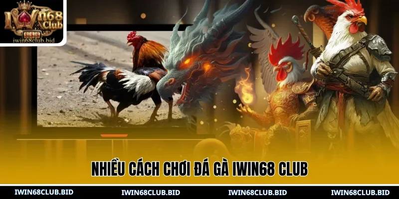 Nhiều cách chơi đá gà IWIN68 Club